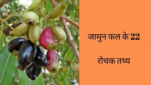 jamun facts in hindi