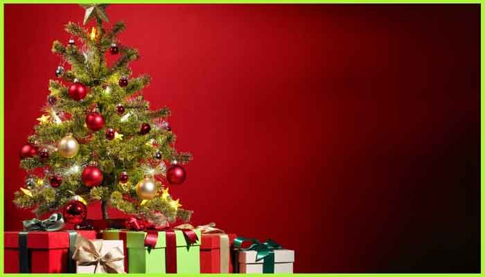 How christmas is celebrated in hindi