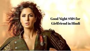 Good Night SMS for Girlfriend in Hindi