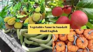 संस्कृत और हिंदी में सब्जियों के नाम